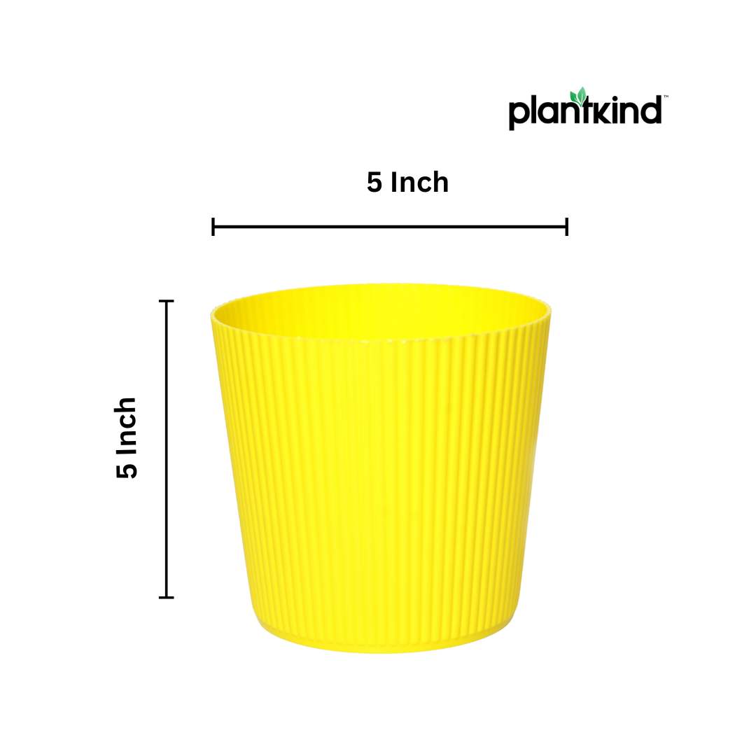 Plantkind Strip 5 Inch Plastic Pot | Gardening Pot | Plastic Pot | Pack Of 1