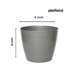 Plantkind Divine 6 Inch Plastic Pot | Gardening Pot | Plastic Pot | Pack of 1