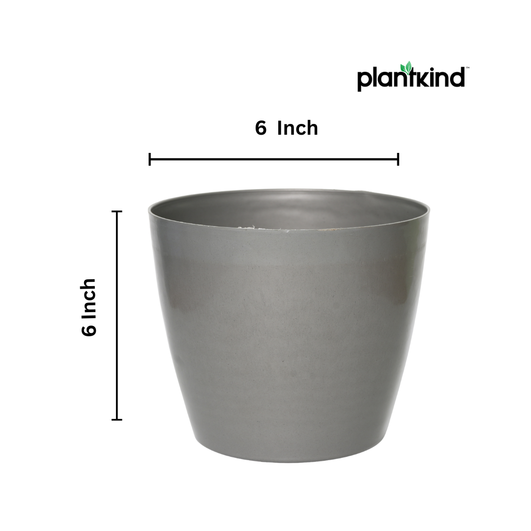 Plantkind Divine 6 Inch Plastic Pot | Gardening Pot | Plastic Pot | Pack of 1