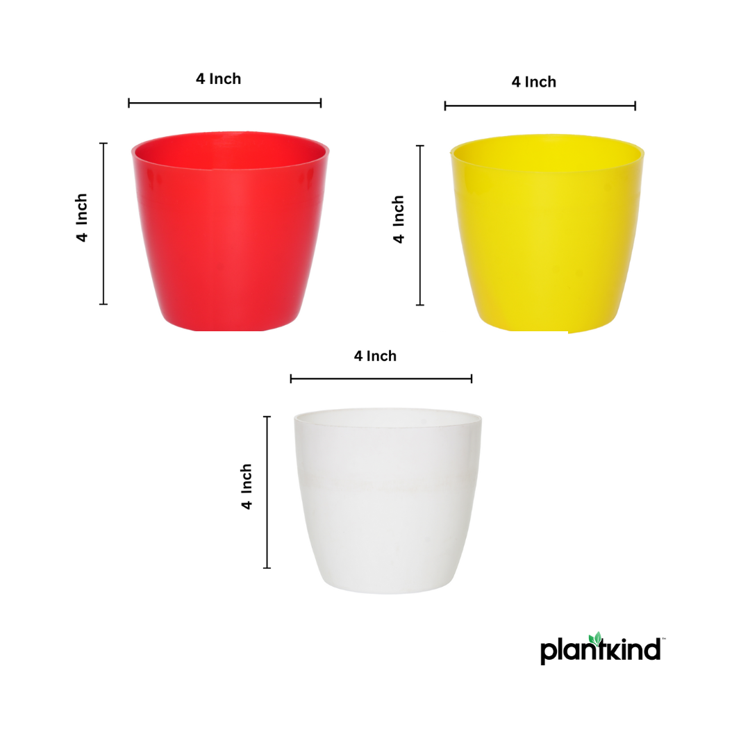Plantkind Divinity Cera 4 Inch Pot | Plastic Pot | Pack Of 1