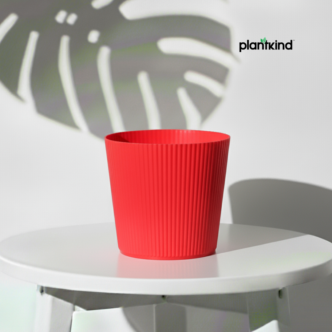 Plantkind Strip 5 Inch Plastic Pot | Gardening Pot | Plastic Pot | Pack Of 1