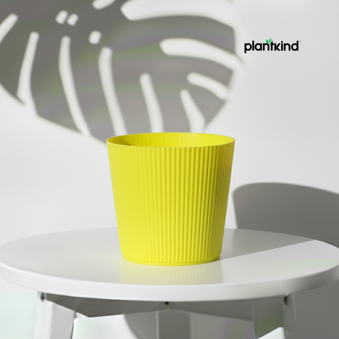 Plantkind Strip 5 Inch Plastic Pot | Gardening Pot | Plastic Pot | Pack Of 1