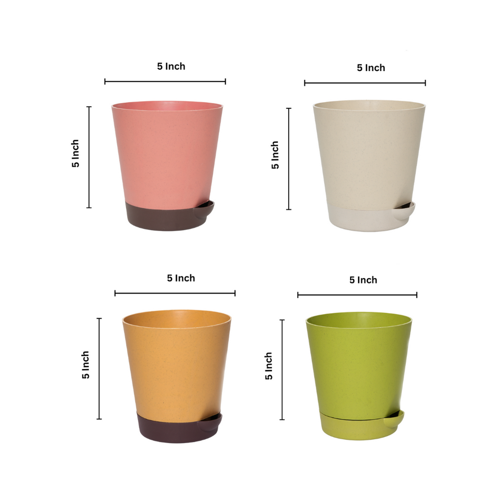 Plantkind Self Watering Pot 4inch | Gardening Pots | Pack of 1