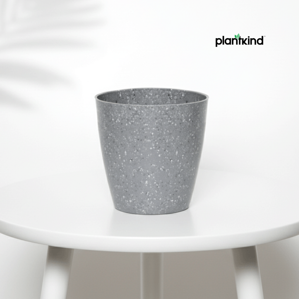 Plantkind Divinity Plastic 4 inch Pot | Plastic Pot | Pack Of 1
