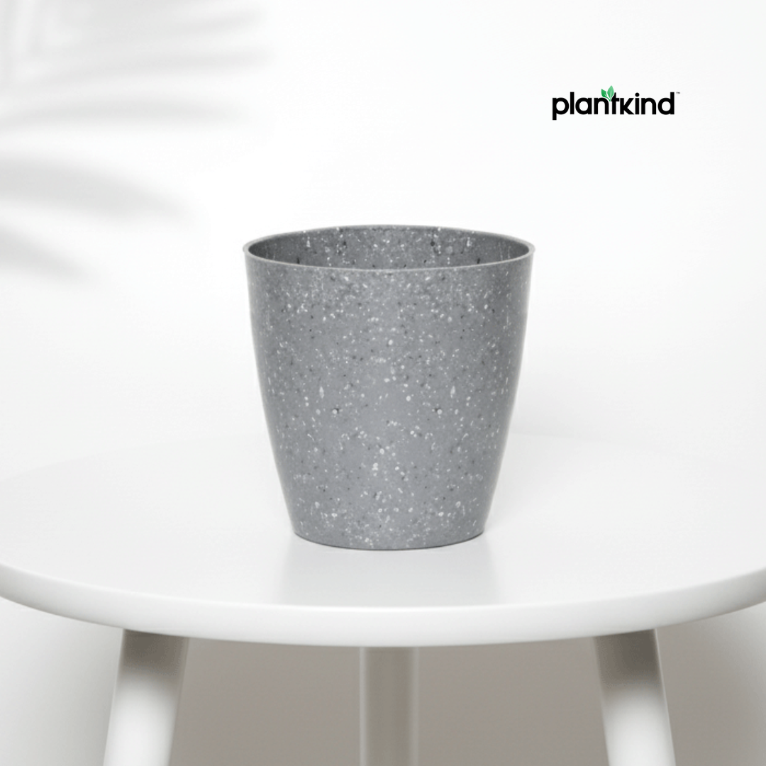 Plantkind Divinity Plastic 4 inch Pot | Plastic Pot | Pack Of 1