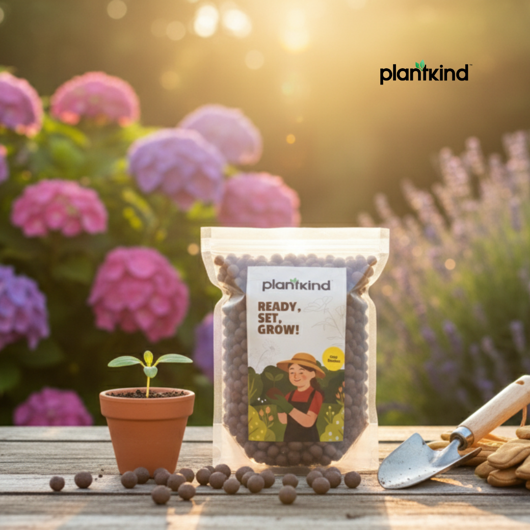 Plantkind Clay Pebble | Lightweight Expanded Clay Aggregate Balls for Hydroponic & Potting Use | Improves Aeration and Drainage | Ideal for Indoor, Outdoor & Garden Plants (500 gm)