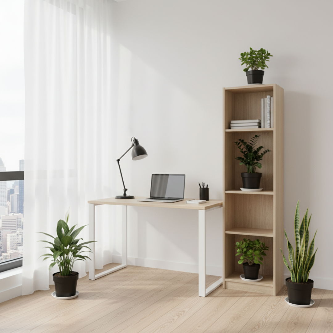 Calm Corner | Desk Plant Combo |Pack of 4 with Net pot