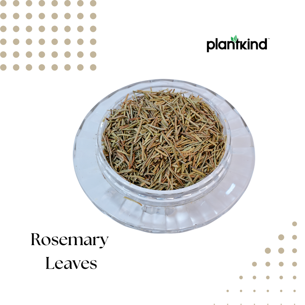 Rosemary Leaves | Dried Leaves | Herbal Product | Pack of 1 | 100g