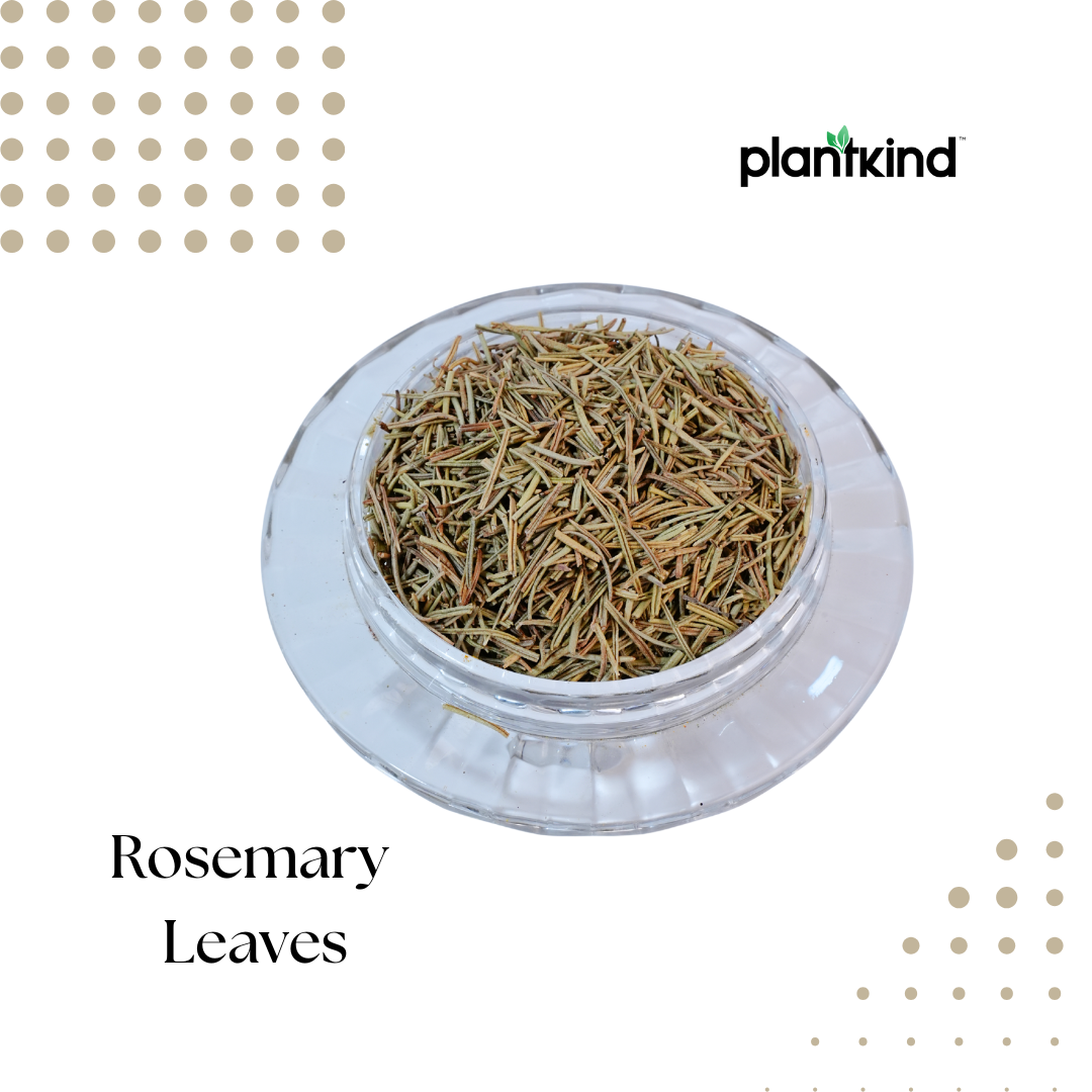 Rosemary Leaves | Dried Leaves | Herbal Product | Pack of 1 | 100g