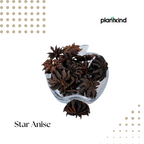 Star Anise – Chakraphool | Thakkolam | 100g
