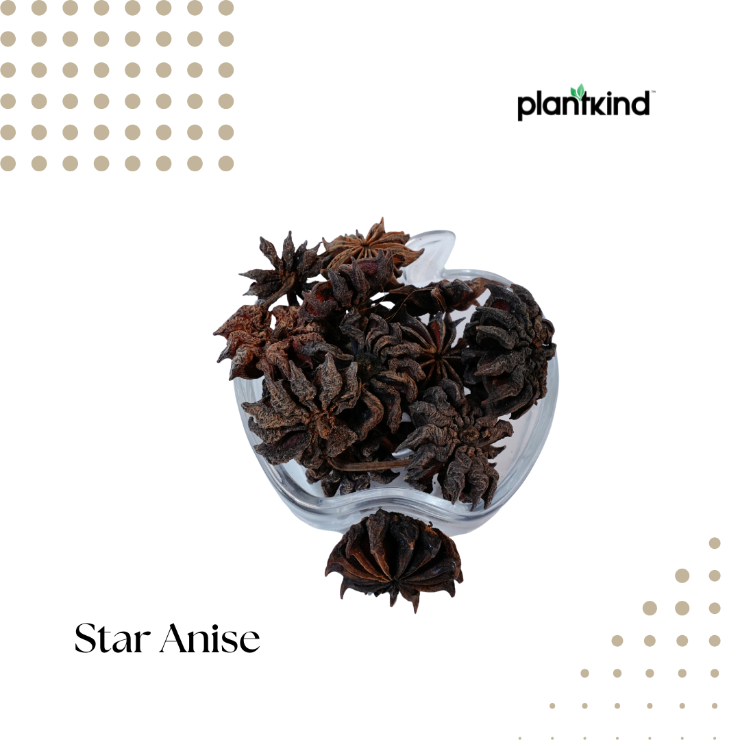 Star Anise – Chakraphool | Thakkolam | 100g