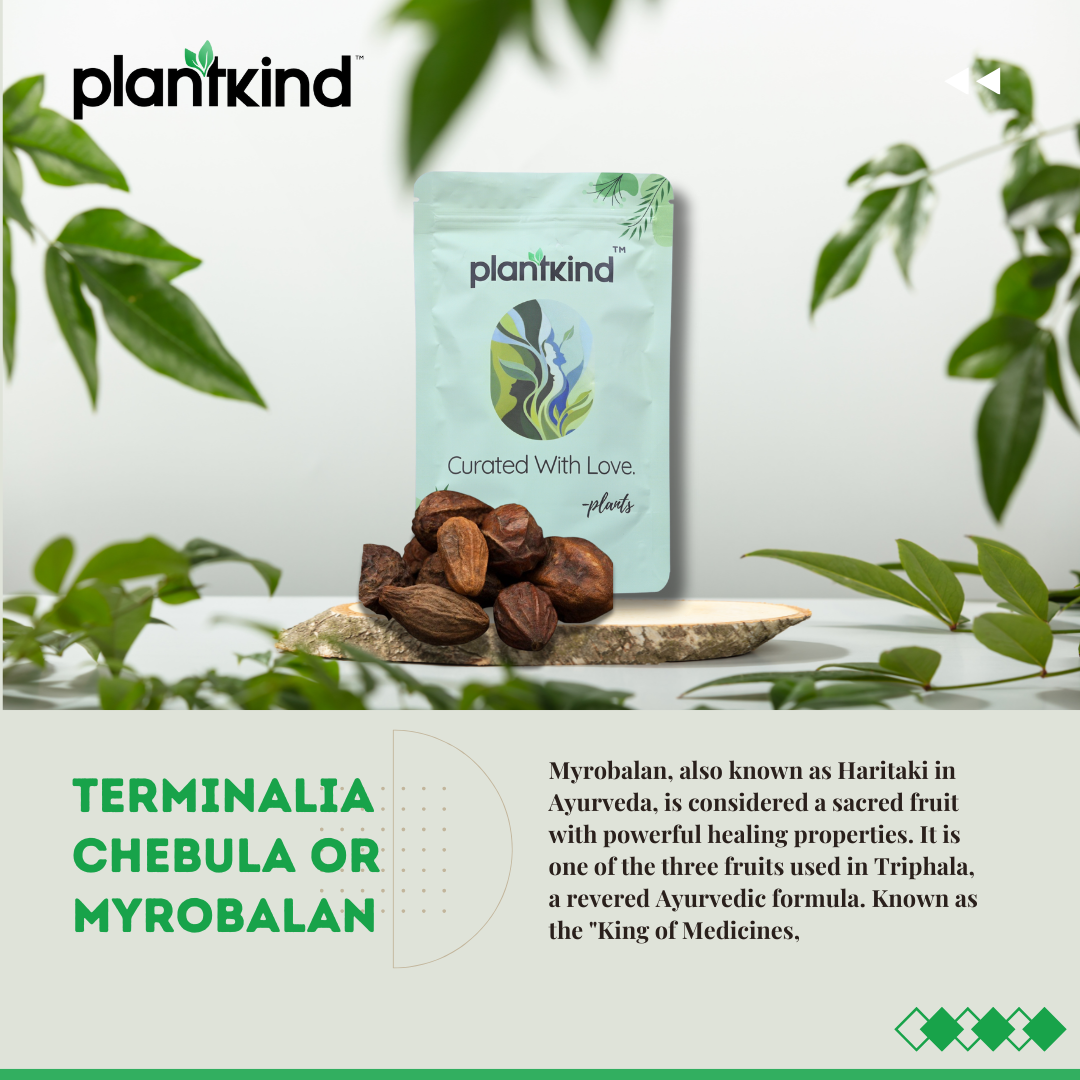 Harad | Terminalia Chebula | Natural Herb | Pack of 1 | 100g