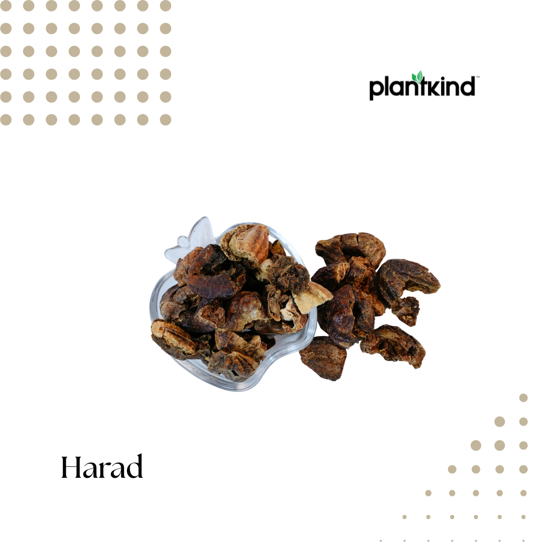 Harad | Terminalia Chebula | Natural Herb | Pack of 1 | 100g