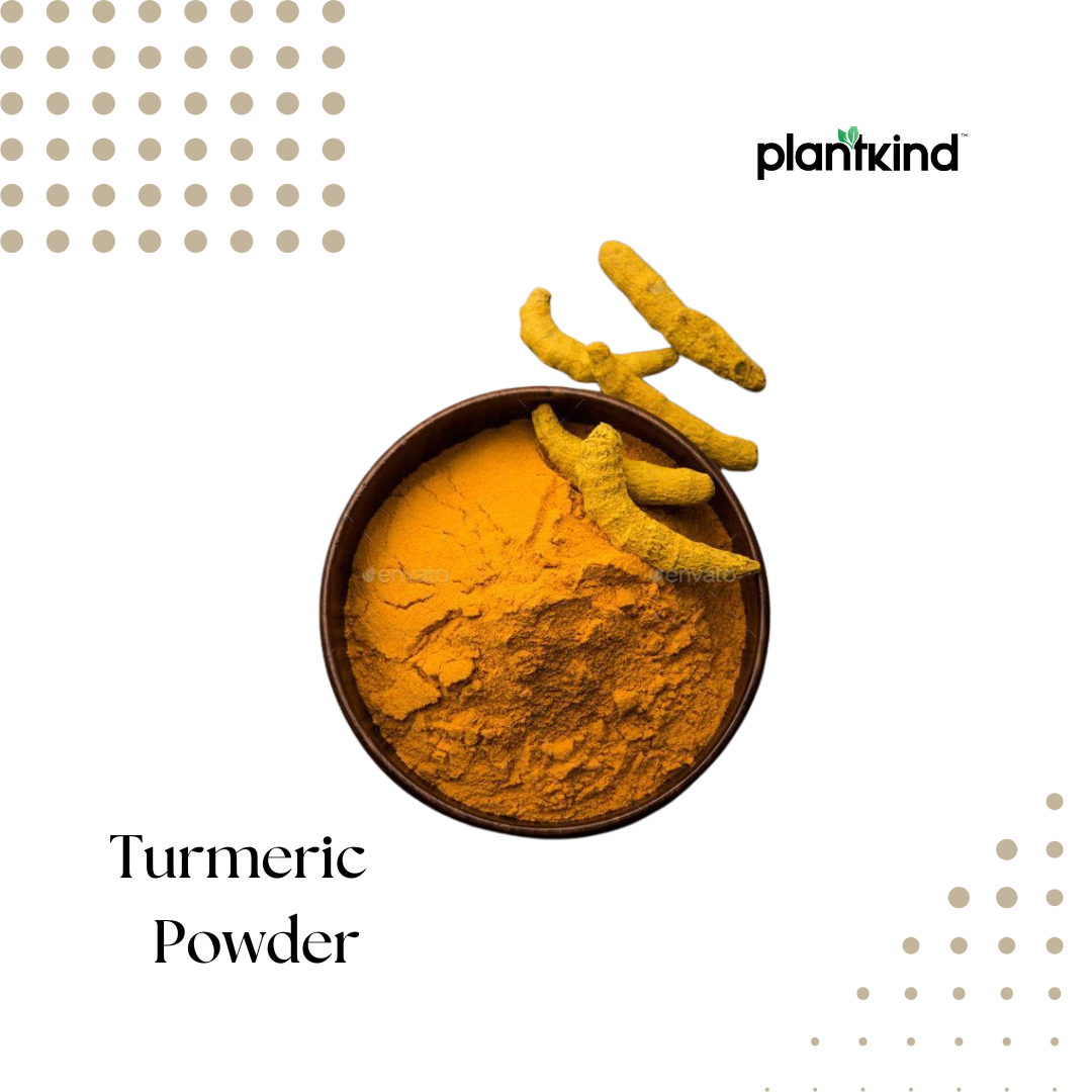 Turmeric Powder| Organic Turmeric | Natural Turmeric | Pack of 1 | 100g