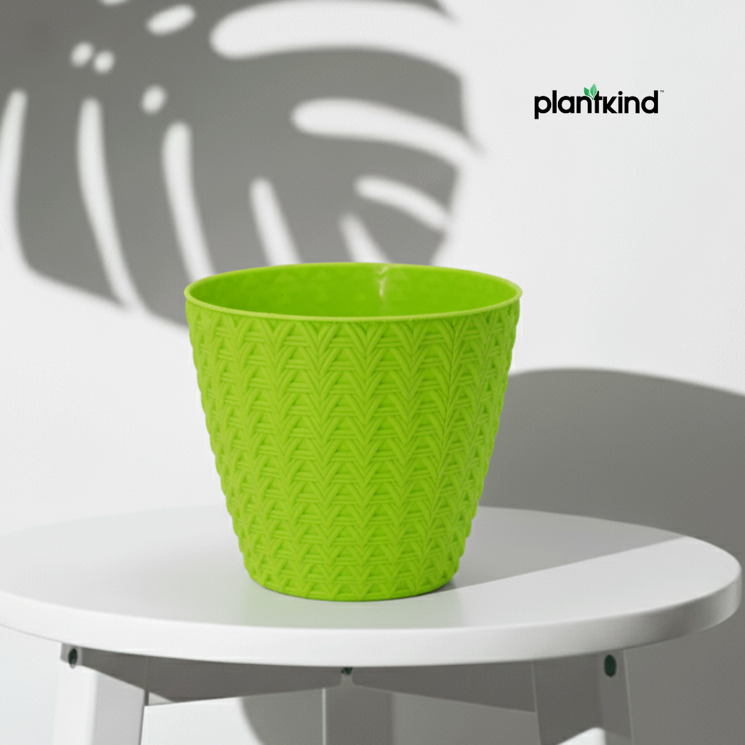 Plantkind Dollar 7 Plastic Pots 7 Inch | Plastic Pot | Pack of 1