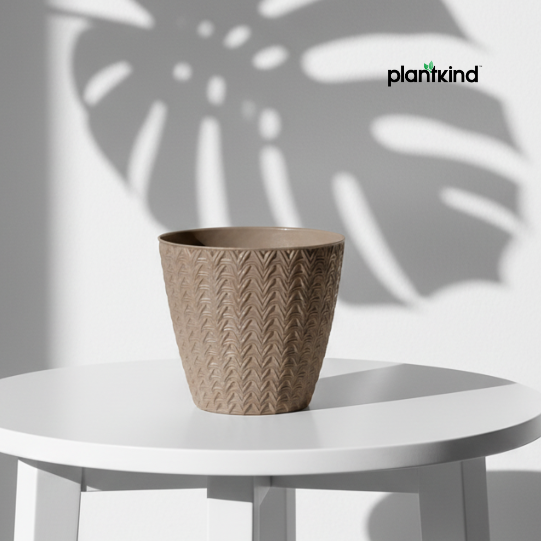 Plantkind Dollar 7 Plastic Pots 7 Inch | Plastic Pot | Pack of 1