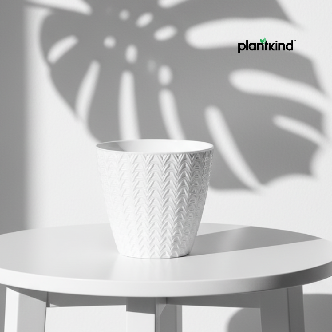 Plantkind Dollar 7 Plastic Pots 7 Inch | Plastic Pot | Pack of 1