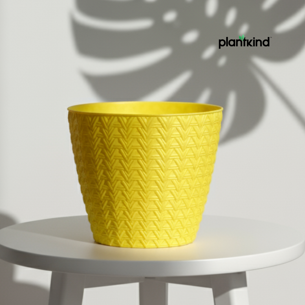 Plantkind Dollar 7 Plastic Pots 7 Inch | Plastic Pot | Pack of 1