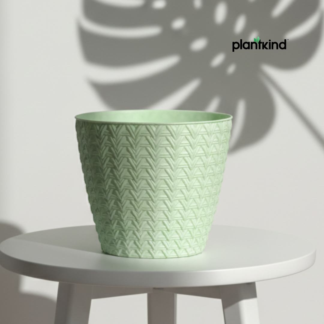 Plantkind Dollar 7 Plastic Pots 7 Inch | Plastic Pot | Pack of 1