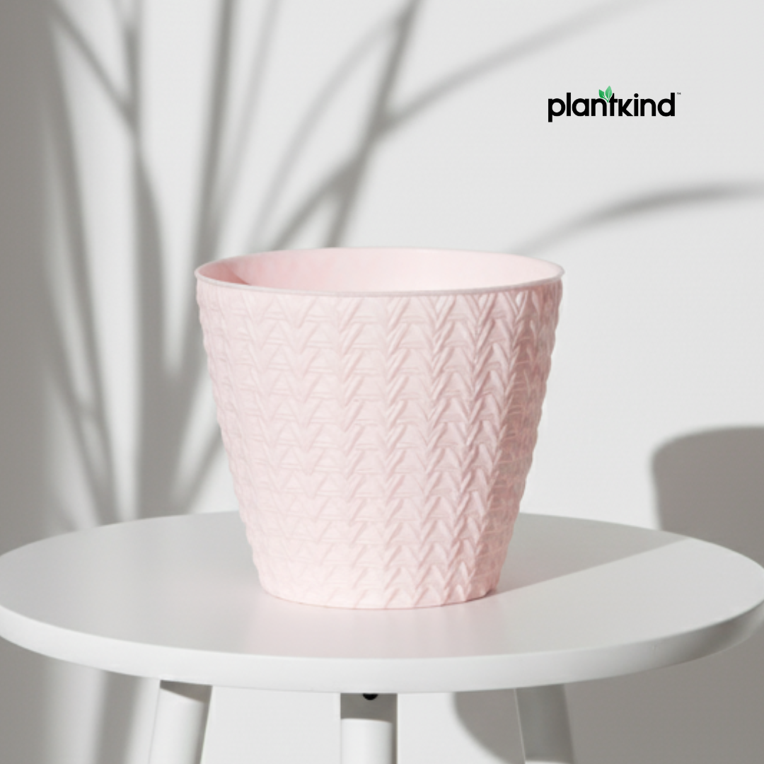 Plantkind Dollar 7 Plastic Pots 7 Inch | Plastic Pot | Pack of 1