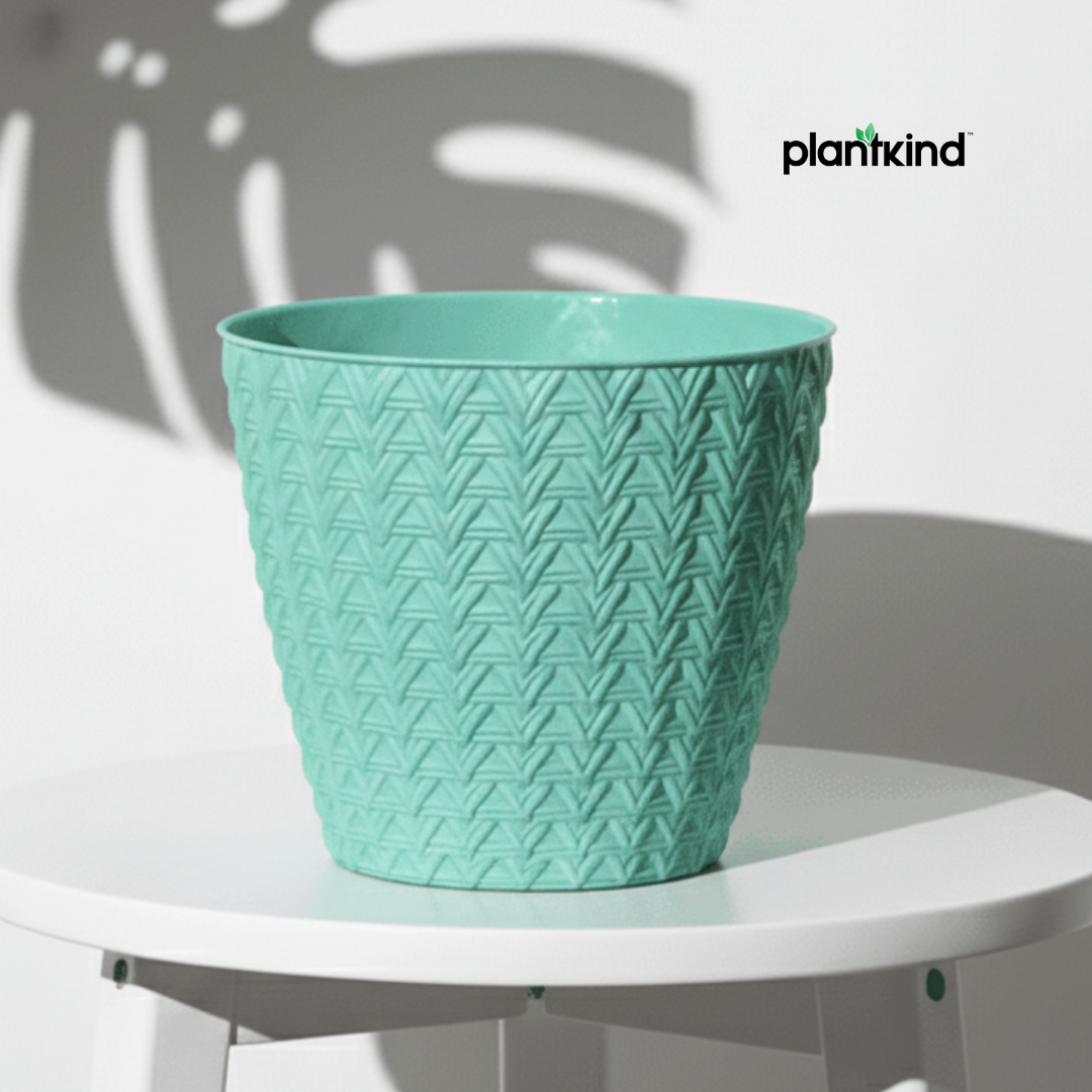 Plantkind Dollar 7 Plastic Pots 7 Inch | Plastic Pot | Pack of 1