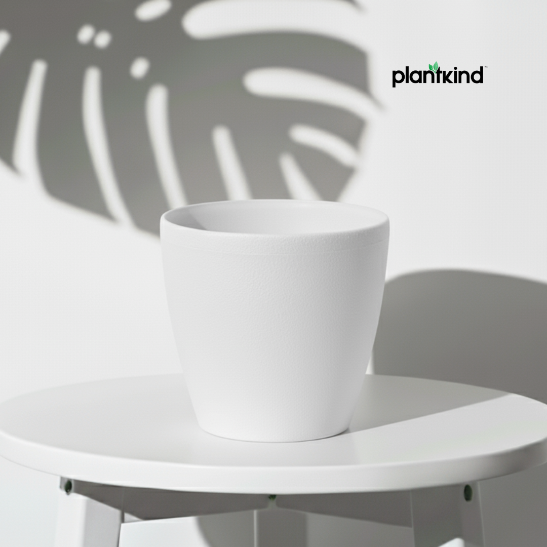 Plantkind Deco Plastic Pots 6 inch | Plastic Pots | Pack Of 1