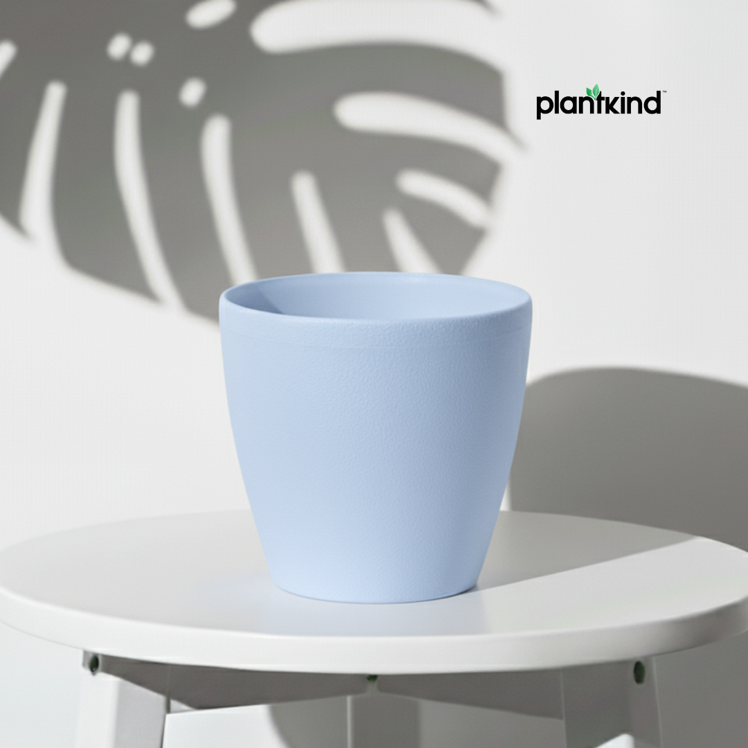 Plantkind Deco Plastic Pots 6 inch | Plastic Pots | Pack Of 1