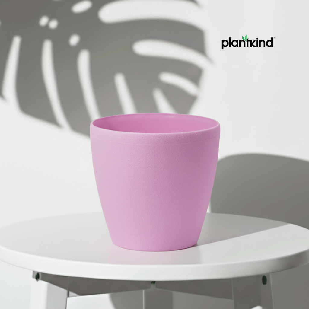 Plantkind Deco Plastic Pots 6 inch | Plastic Pots | Pack Of 1