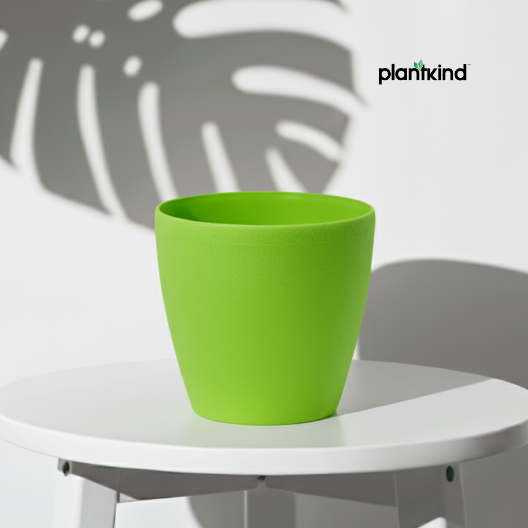 Plantkind Deco Plastic Pots 6 inch | Plastic Pots | Pack Of 1