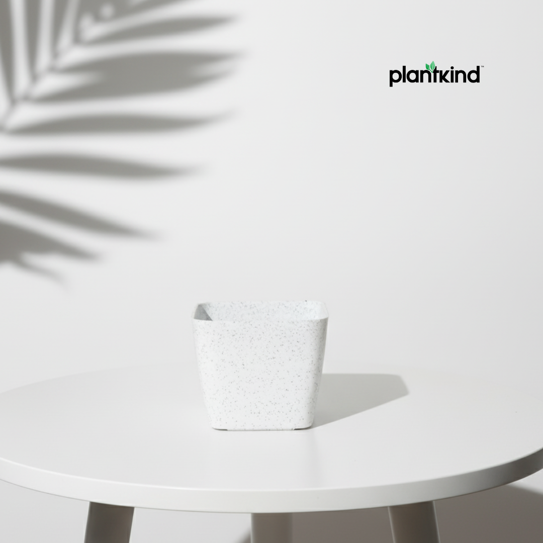 Plantkind Gardens Olive Plastic Pots 4 inch | Plastic Pots | Pack of 1