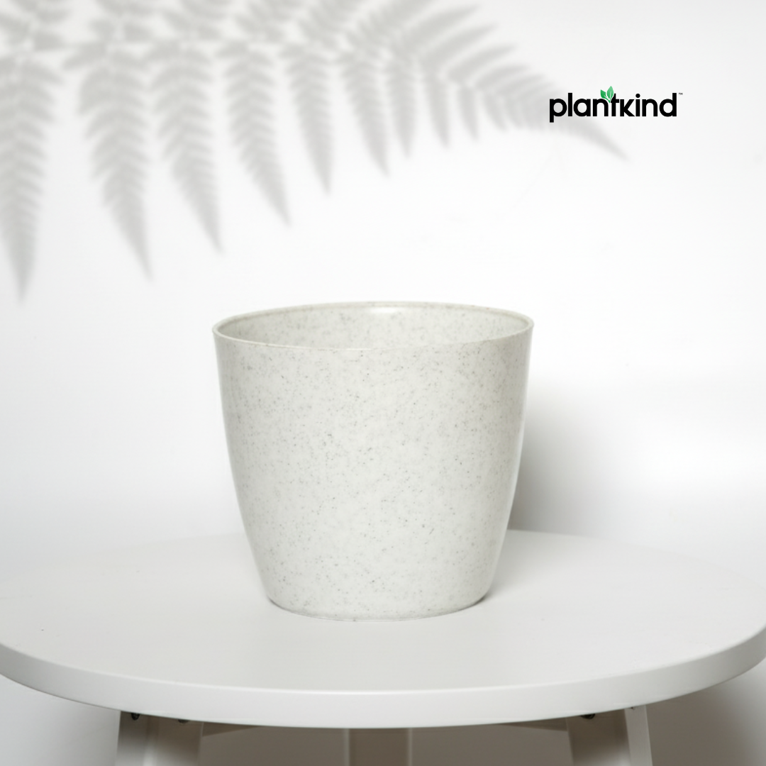 Plantkind Divinity Plastic Pots 5 Inch | Gardening Pot | Pack Of 1