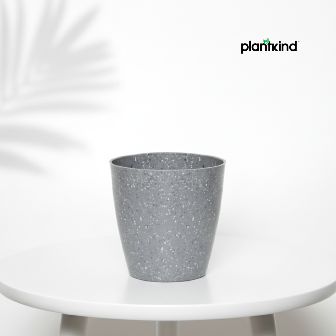 Plantkind Divinity Plastic Pots 5 Inch | Gardening Pot | Pack Of 1