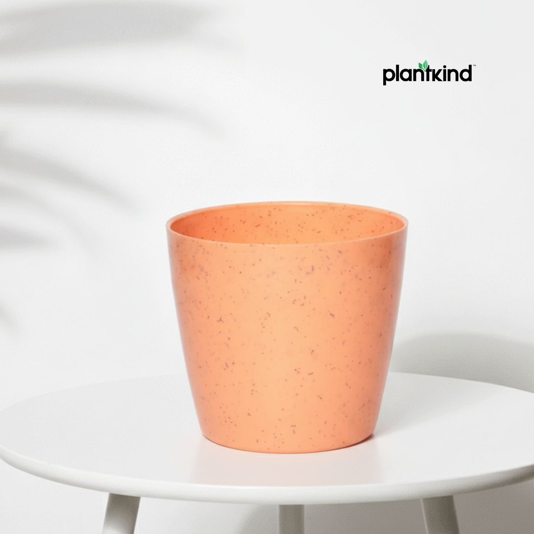 Plantkind Divinity Plastic Pots 5 Inch | Gardening Pot | Pack Of 1