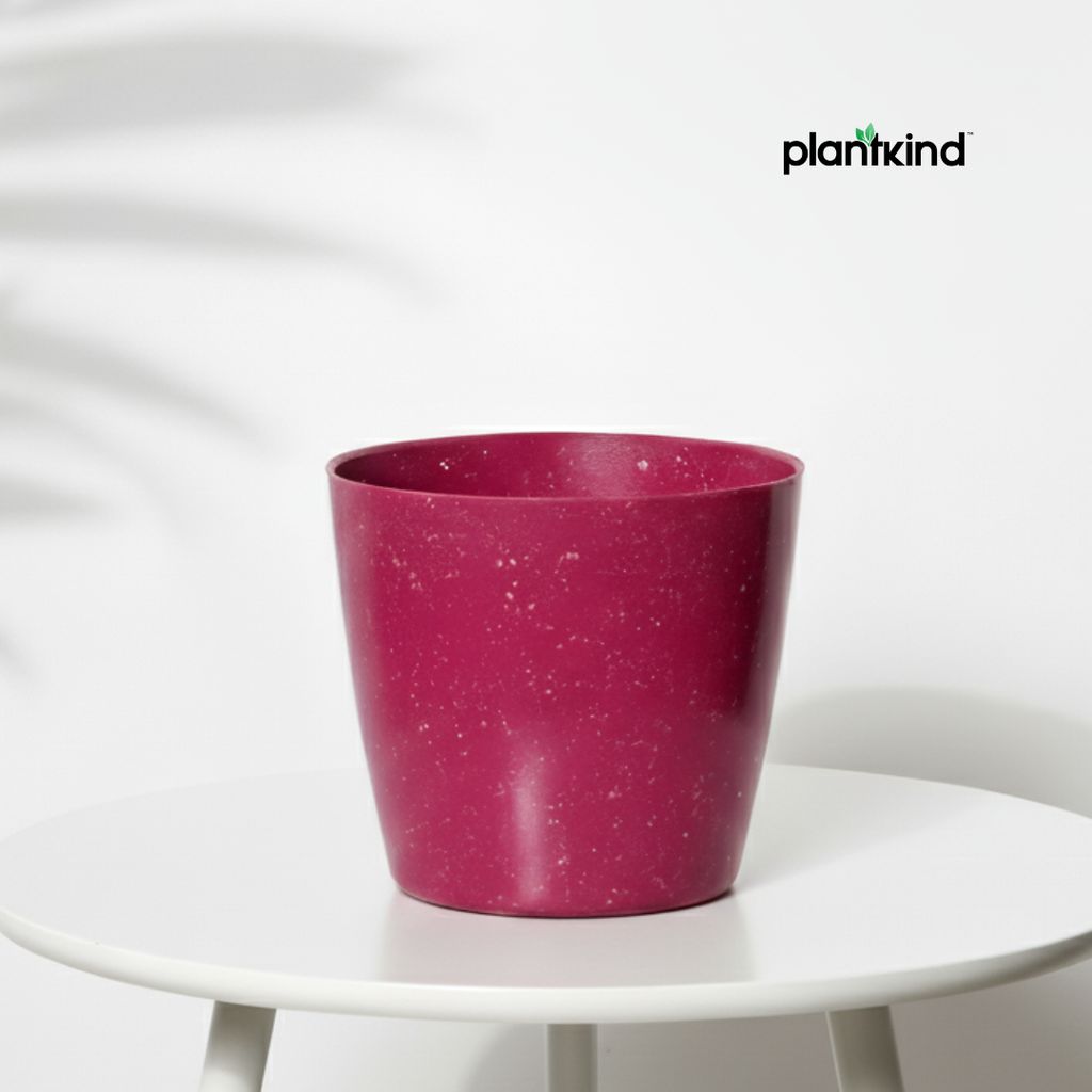 Plantkind Divinity Plastic Pots 5 Inch | Gardening Pot | Pack Of 1