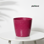 Plantkind Divinity Plastic Pots 5 Inch | Gardening Pot | Pack Of 1