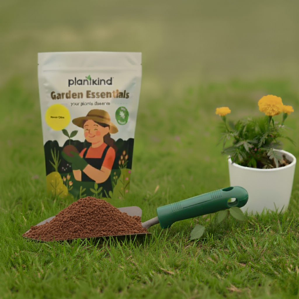 Plantkind Neem Cake Powder | Neem Seed Meal for Garden Soil Conditioning | Suitable for Terrace Gardens, Pots & Planters | Improves Soil Quality | Eco-Friendly Gardening Use
