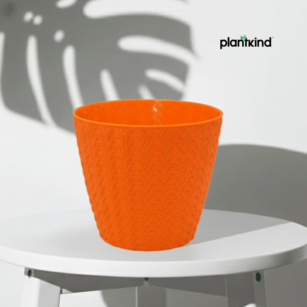 Plantkind Dollar 7 Plastic Pots 7 Inch | Plastic Pot | Pack of 1