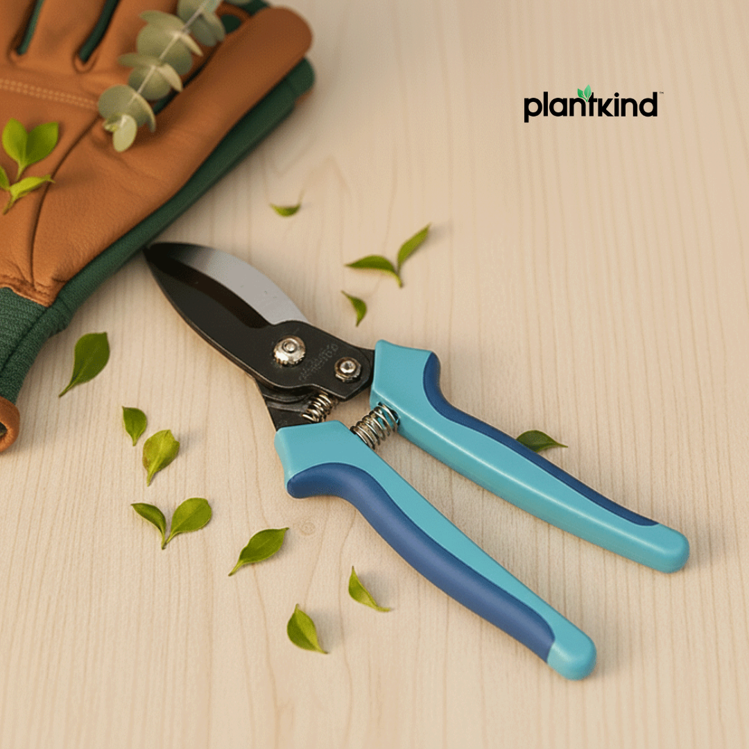 Handy Bypass Pruner | 1pc