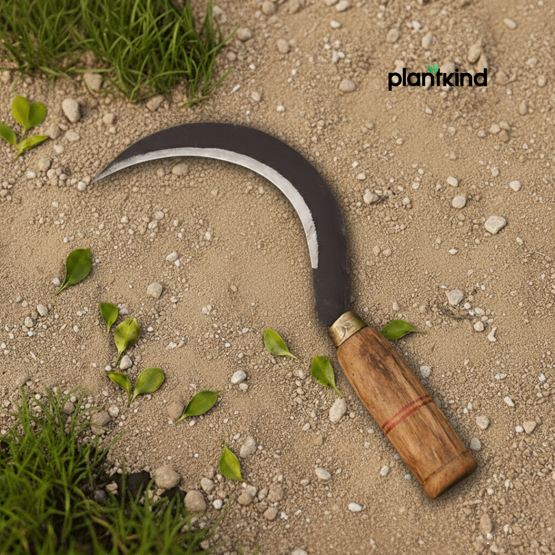 Single-Edge Sickle | 1pc
