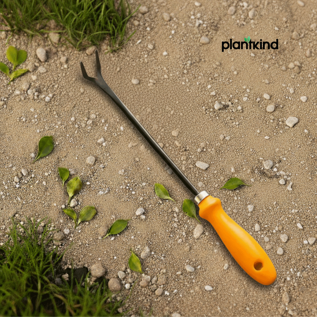 Single Prong Weeder With  Handle | 1pc