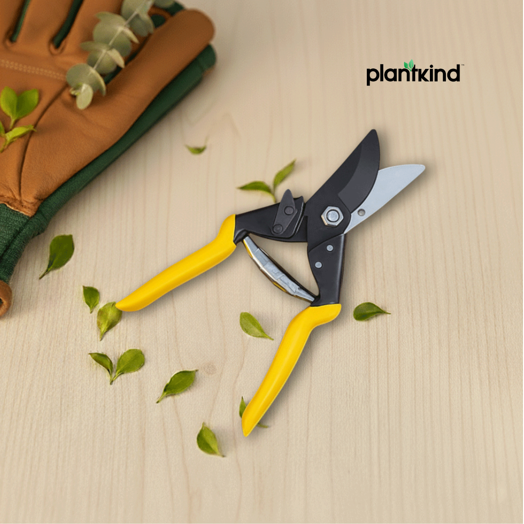 Heavy Duty Bypass Pruner | 1pc