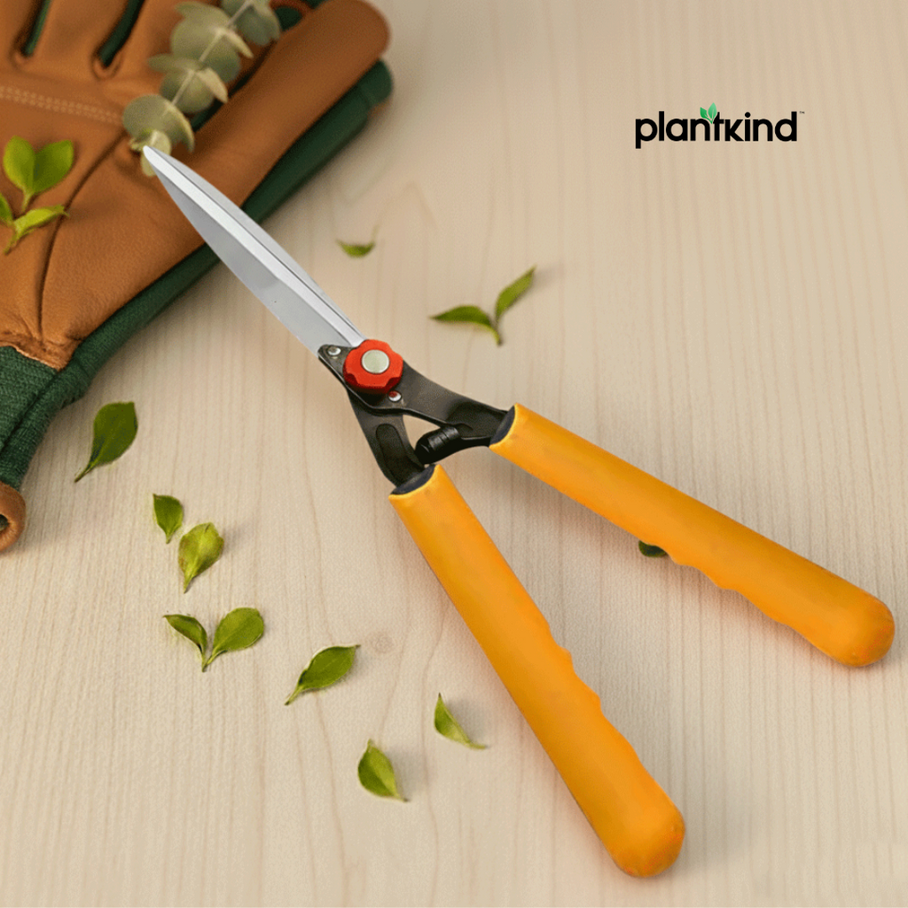 Hedge Shear with Plastic Handle - 10 Inch | 1pc
