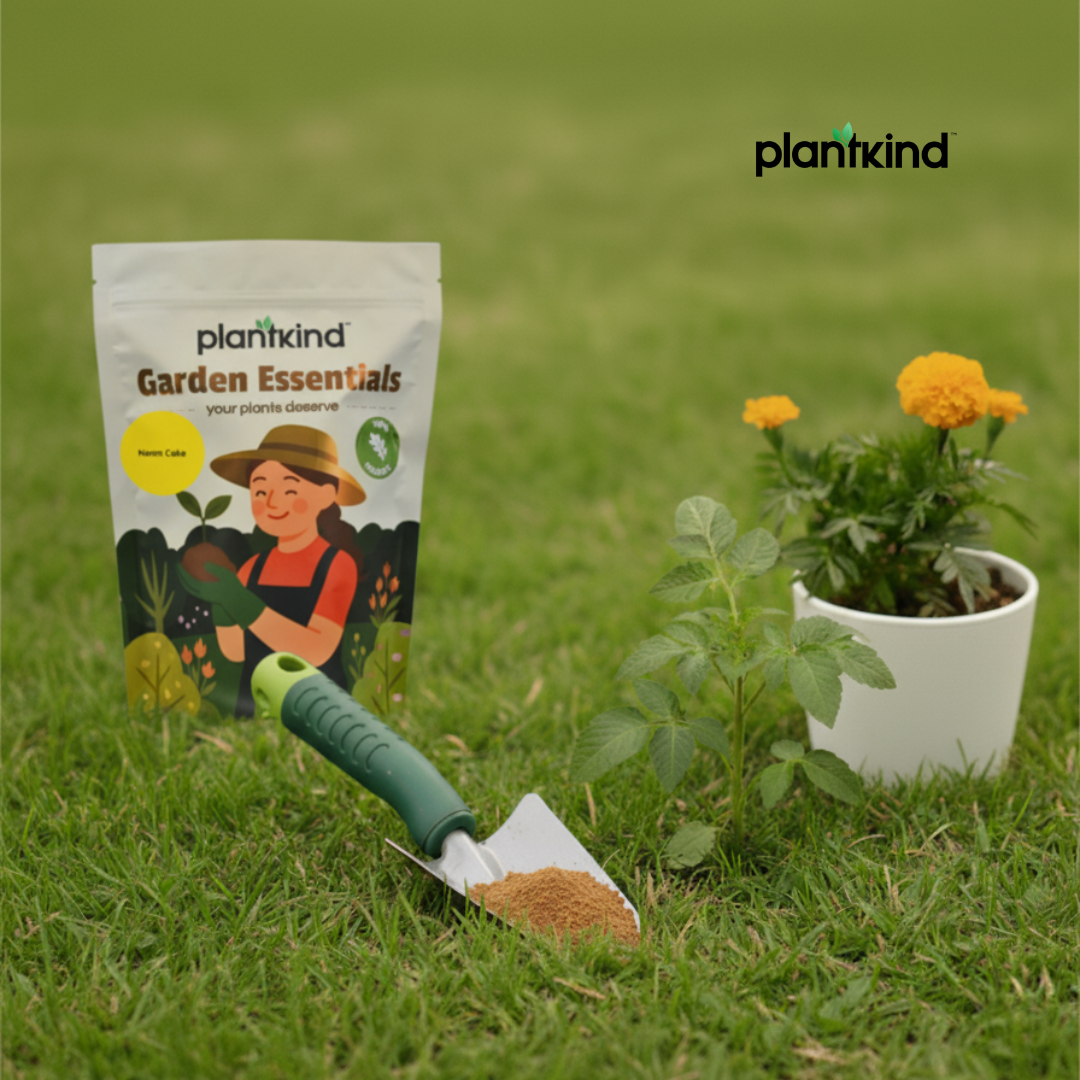 PLANTKIND  Neem cake powder | Organic Fertilizer | Pack of 1 | 1kg