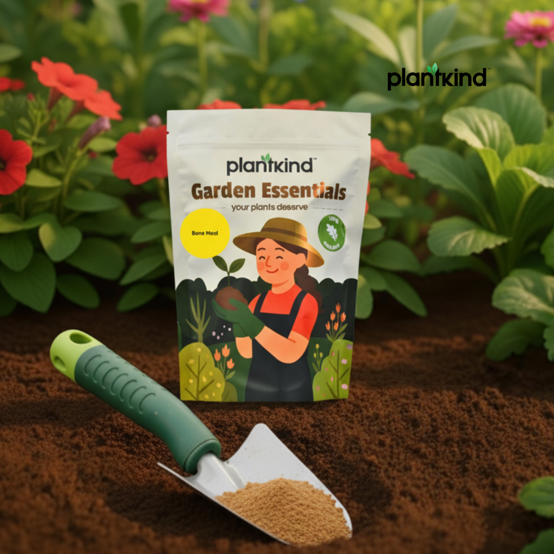 PLANTKIND Bone Meal | Organic Fertilizer | Pack Of 1 | 500g
