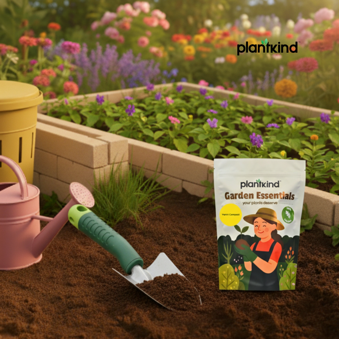 PLANTKIND Vermicompost for Plants  Organic Manure Fertilizer (Powder) | Organic | Zero Chemical | Pack of 1
