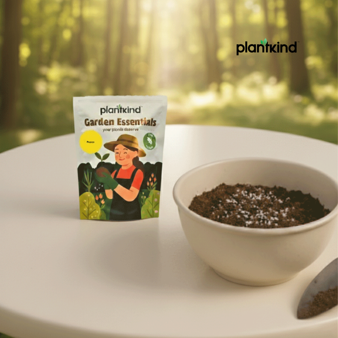 PLANTKIND Perlite | Potting Mixture | Pack Of 1 | 250g