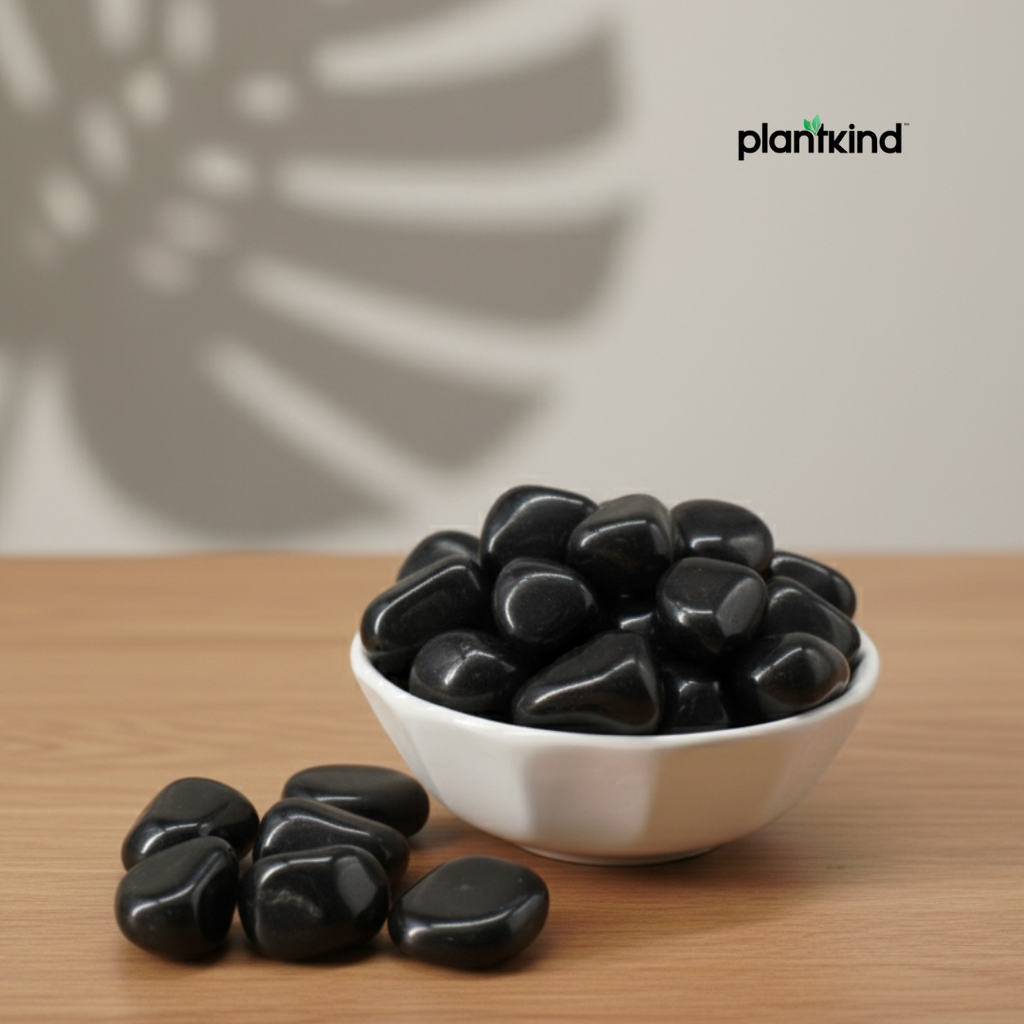 Plantkind Black Polished Pebbles 1 Kg | Garden Decors | Pack of 1