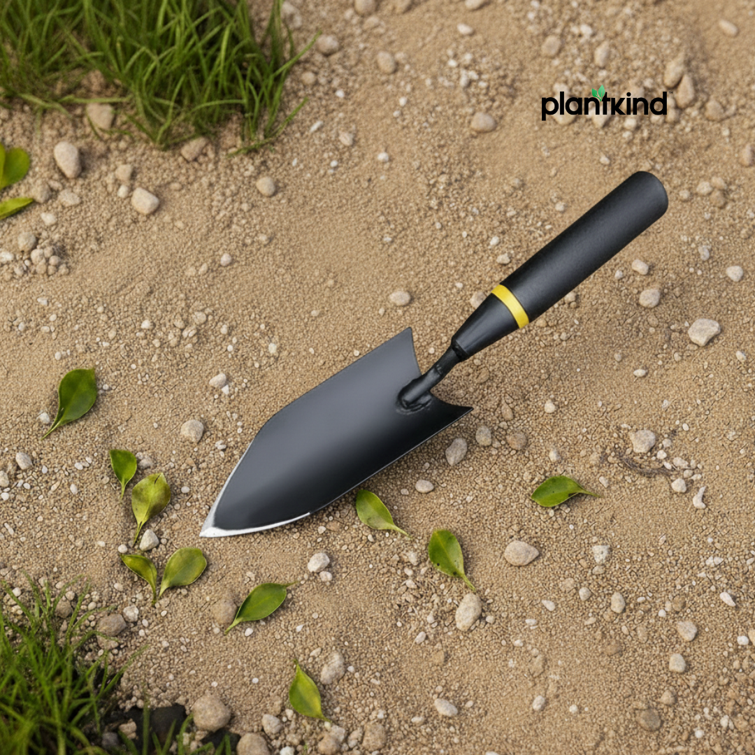 Plantkind Transplanter with  Handle 1 Pc | Gardening Tools | Pack of 1