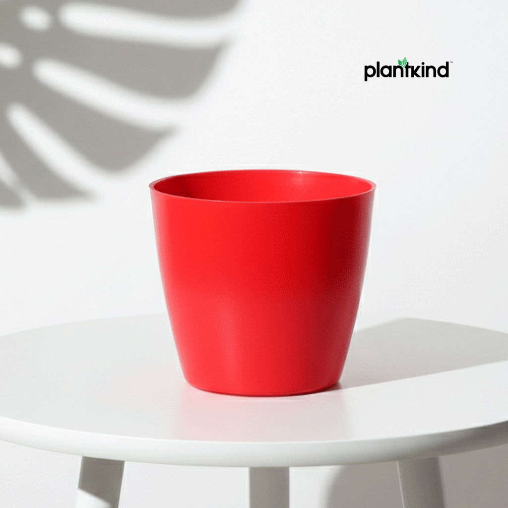 Plantkind Divinity Cera 4 Inch Pot | Plastic Pot | Pack Of 1