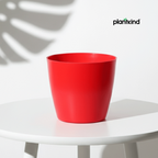 Plantkind Divinity Cera 4 Inch Pot | Plastic Pot | Pack Of 1